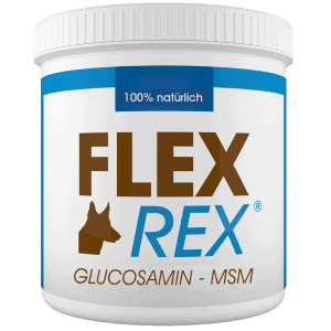 Glucosamin für Hunde