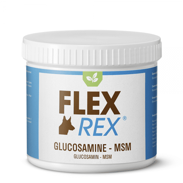 evne butik flamme Glucosamin für Hunde - FlexRex - Halte deinen Hund flexibel!