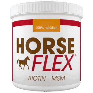 Biotin für Pferde