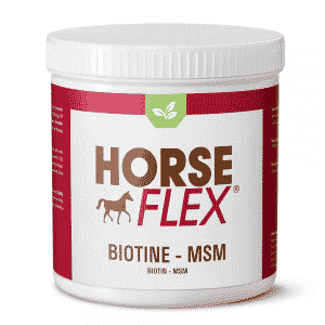 Biotine-MSM voor paarden