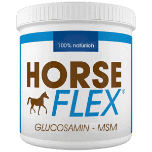 Glucosamin für Pferde