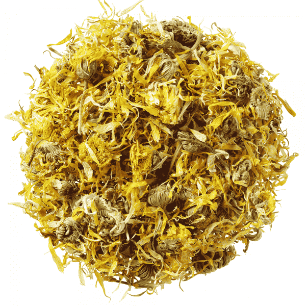 Ringelblume für Pferde