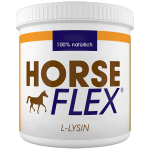 L-Lysin für Pferde