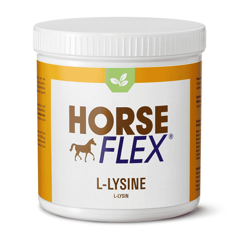 LLysin für Pferde HorseFlex Unterstützt das Immunsystem