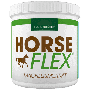 Magnesium für Pferde