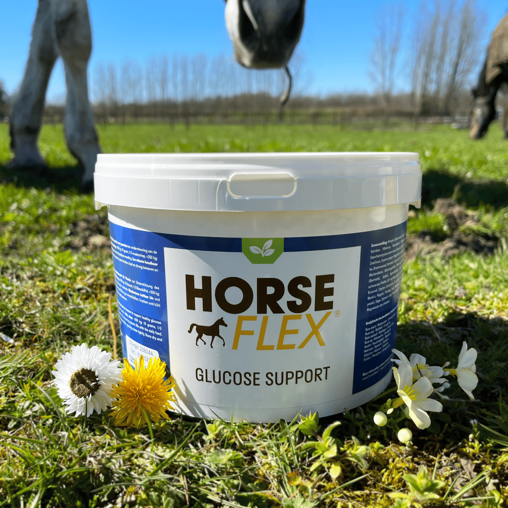 HorseFlex Glucose Support l Unterstützt den Blutzuckerspiegel