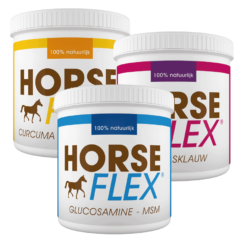 GlucosaminMSM + Teufelskralle + Kurkuma HorseFlex