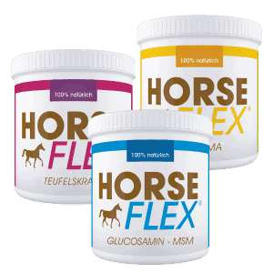 glucosamin + Teufelskralle + Kurkuma für Pferde