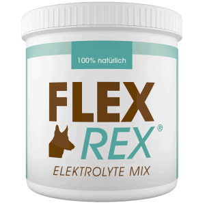 Elektrolyte-Mix für Hunde