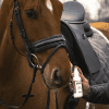 Insectenspray voor paarden